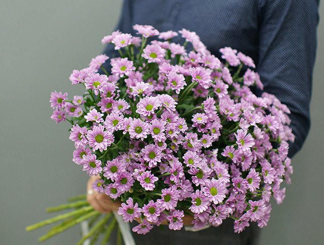 Bouquet of 15 branches of pink chrysanthemums photo