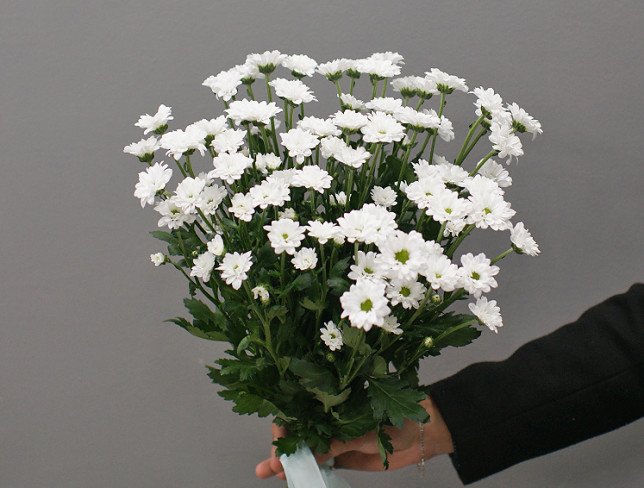 Bouquet of 9 branches of white chrysanthemums photo