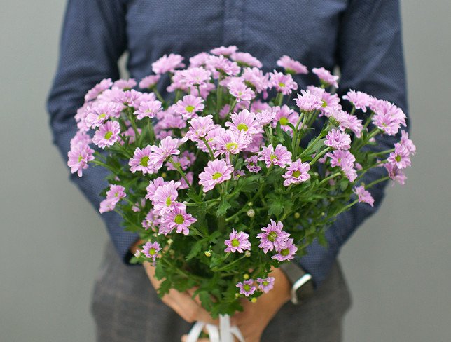 Bouquet of 9 branches of pink chrysanthemums photo