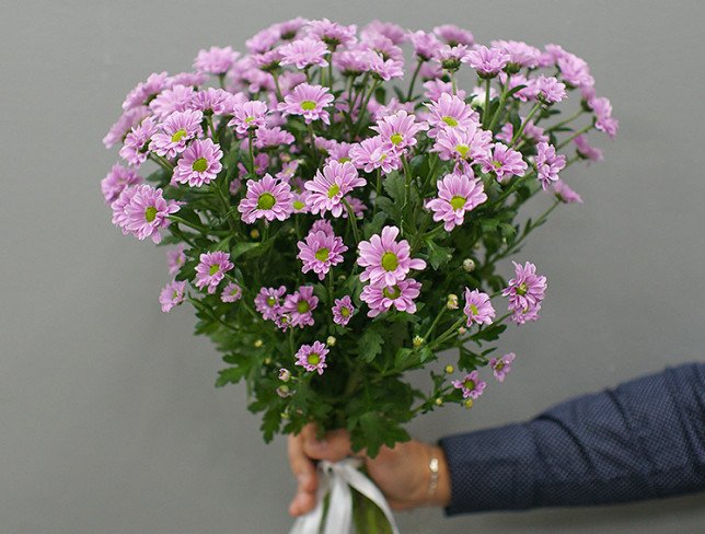 Bouquet of 9 branches of pink chrysanthemums photo