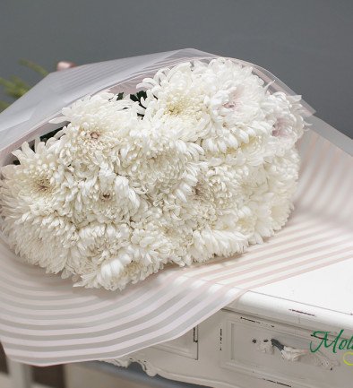 Ball-shaped White Chrysanthemum photo 394x433