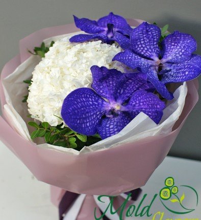 Bouquet of white hydrangea and vanda orchids photo 394x433