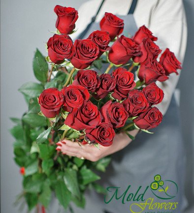 Red Premium Dutch Rose 90-100 cm (pre-order, 10 days) photo 394x433