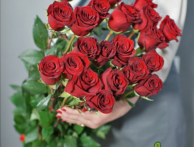 Red Premium Dutch Rose 90-100 cm (pre-order, 10 days) photo