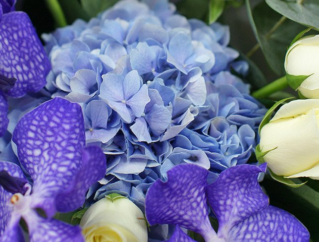 Bouquet with blue hydrangea and vanda orchid photo