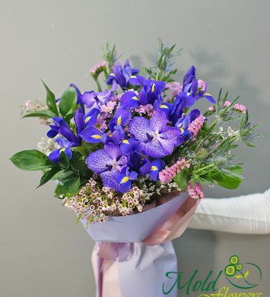 Bouquet of purple irises and chrysanthemums photo 394x433