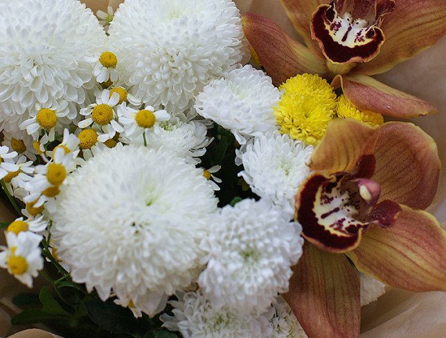 Complimentary bouquet of white chrysanthemums and orchids photo