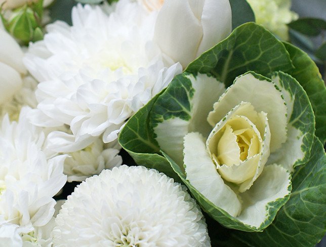 Bouquet of white chrysanthemum and tulips "White velvet" photo