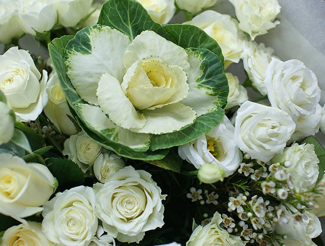 Bouquet of white bush roses and brassicas "Eternity" photo