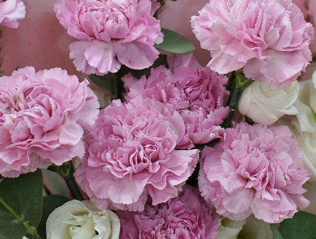 Bouquet of pink carnations "Butterfly wings" photo