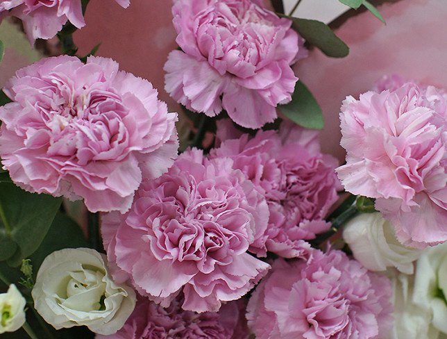 Bouquet of pink carnations "Butterfly wings" photo