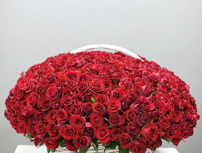 Basket with 501 red roses (pre-order, 3 days) photo