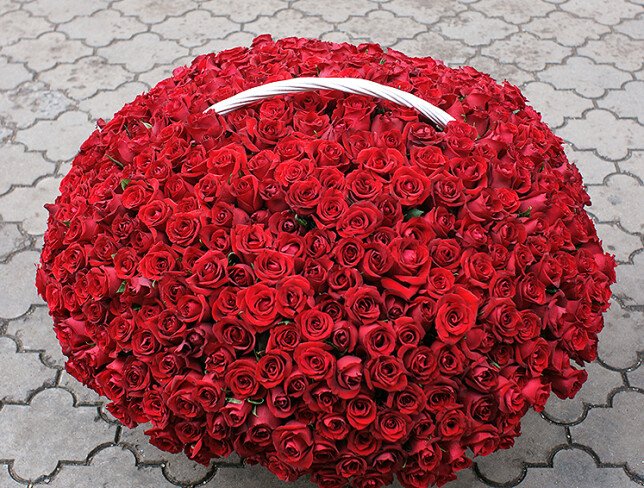 Basket with 501 red roses (pre-order, 3 days) photo