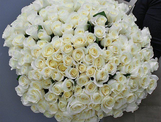 201 white Dutch roses 50-60 cm photo