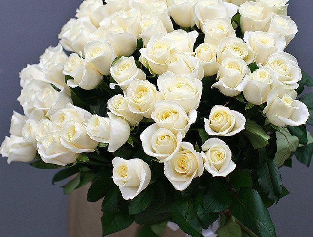 75 white Dutch roses 50-60 cm photo