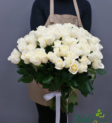 75 white Dutch roses 50-60 cm photo 394x433