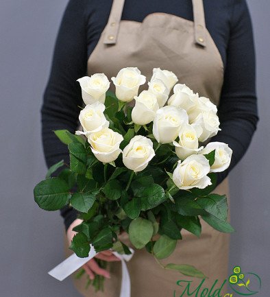 15 white Dutch roses 50-60 cm photo 394x433