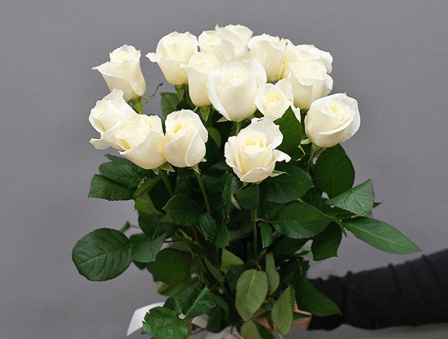 15 white Dutch roses 50-60 cm photo