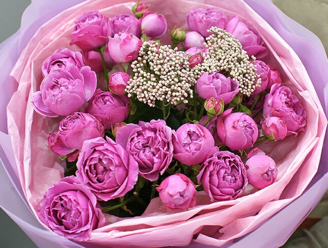 Bouquet of pink peony roses "Pink Cloud" photo