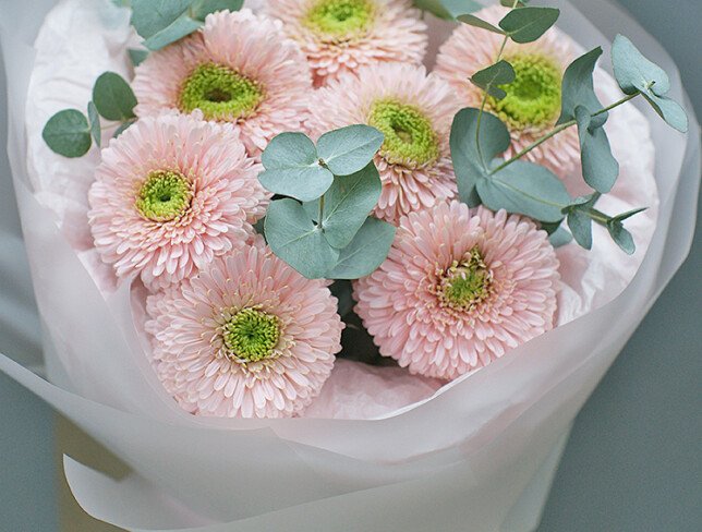 Pink Gerbera Bouquet  "Petals of Light" photo