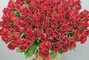 101 red roses 70 cm — photo 3