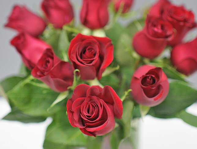 Vase + Bouquet of 15 red roses photo