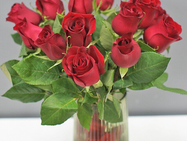 Vase + Bouquet of 15 red roses photo