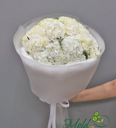Buchet din 9 hortensii albe foto 394x433