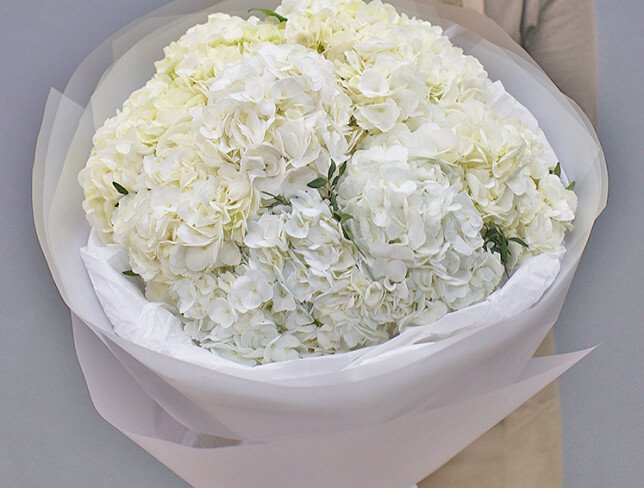 Buchet din 9 hortensii albe foto
