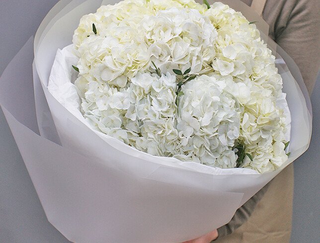 Buchet din 9 hortensii albe foto