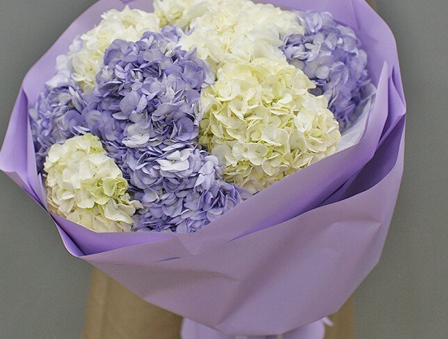 Buchet din hortensii albe și violete foto