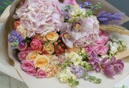 Acuarelă blândă — foto 7