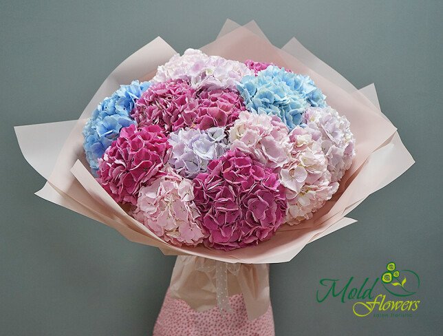 flori la comanda buchet din 15 hortensii colorate livrare Chișinău