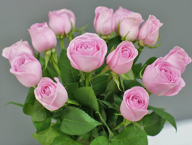 Vaza + Buchet din 15 trandafiri roz 40 cm foto