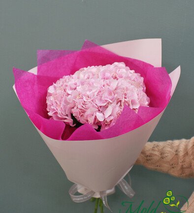 Bouquet with pink hydrangeas "Sweet dream" photo 394x433