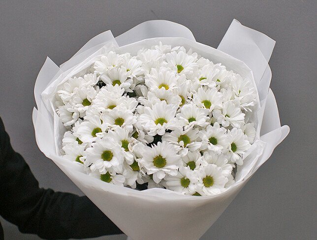 Bouquet of white chrysanthemums "Tenderness" photo
