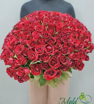 151 red roses 50 cm (pre-order, 5 days) photo 394x433
