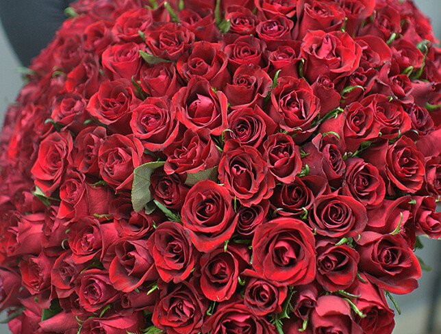 201 red roses 50 cm (pre-order, 10 days) photo