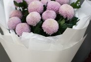Bouquet of 15  pink chrysanthemums "momoko" type — photo 4