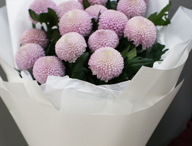 Bouquet of 15  pink chrysanthemums "momoko" type photo