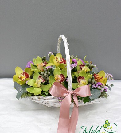 Basket with green orchids photo 394x433
