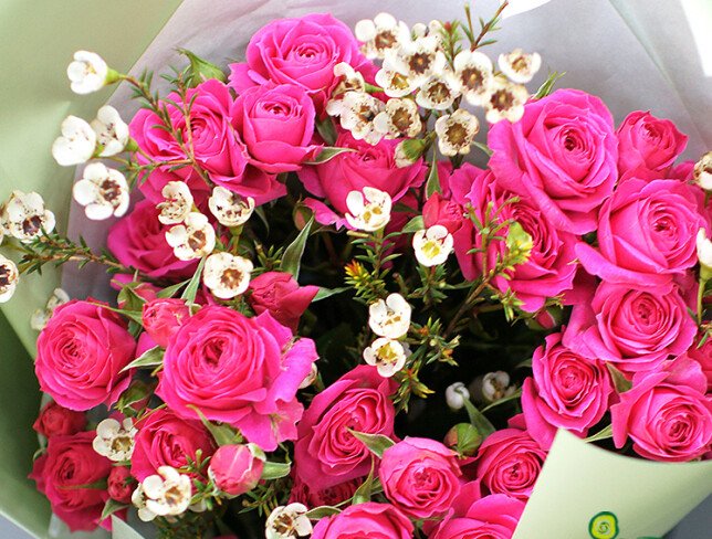 Charm of Roses photo