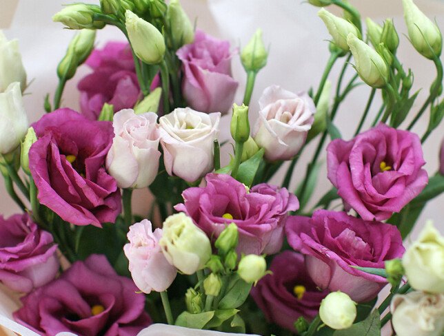 Bouquet of pink eustomas "Melody of spring" photo