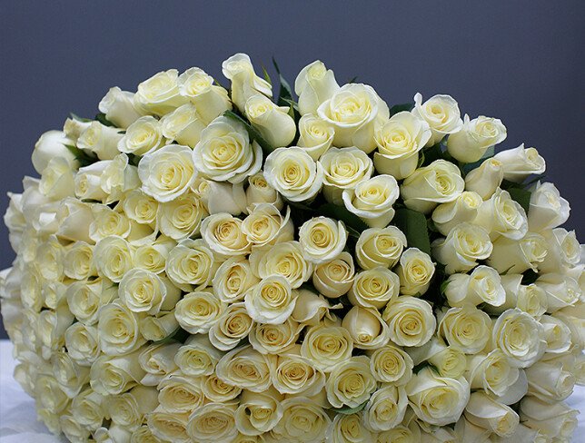 Bouquet of 201 white roses 60 cm photo