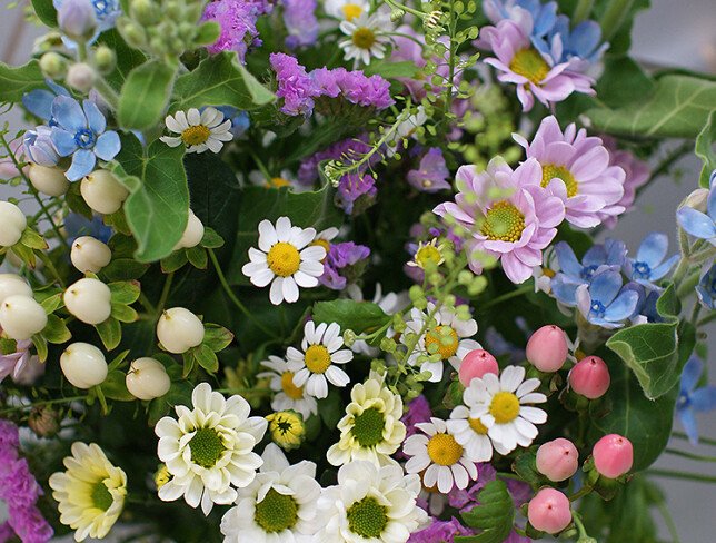 Buchet din romanite, crizanteme si oxypetalum " Suflu primavaratic" foto