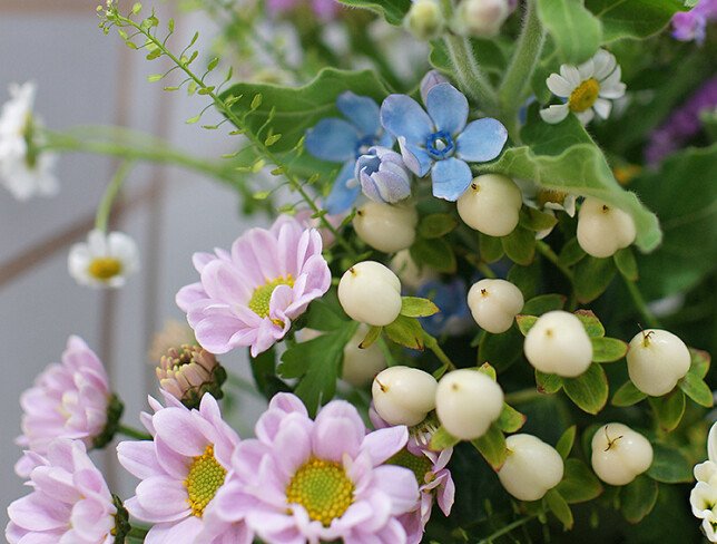 Buchet din romanite, crizanteme si oxypetalum " Suflu primavaratic" foto