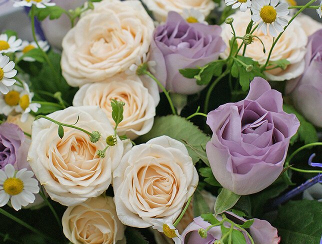 Buchet din trandafiri violeti si crem "Farmecul provence-ului" foto