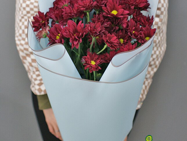 Bouquet of burgundy chrysanthemums "Velvet evening" photo