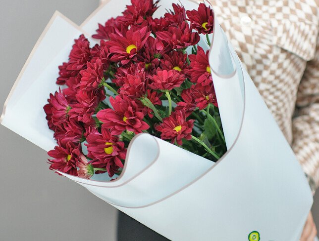 Bouquet of burgundy chrysanthemums "Velvet evening" photo