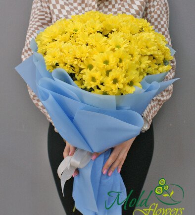 Buchet din crizanteme galbene "Razele fericirii" foto 394x433
